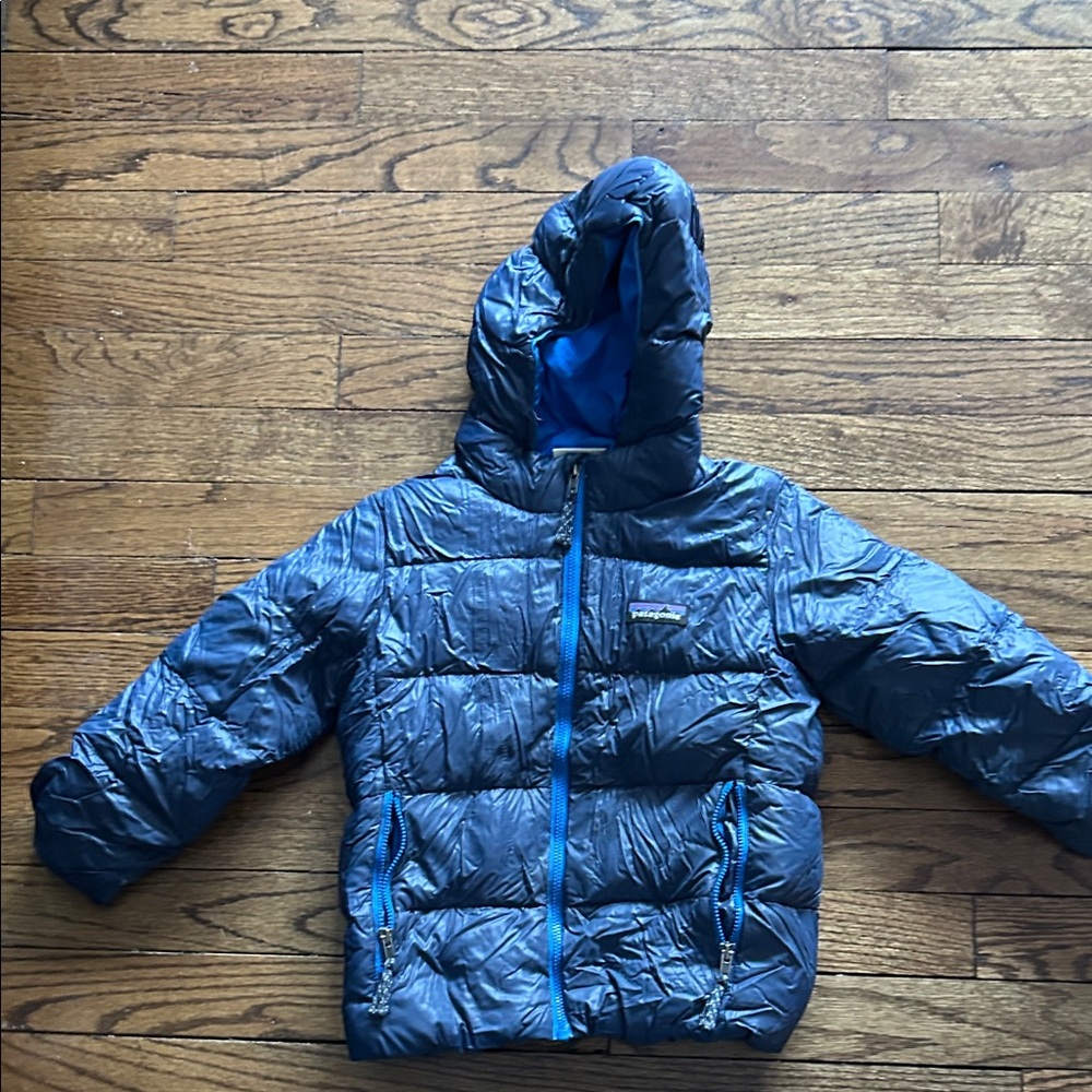 Patagonia Shiny Blue Hooded Jacket